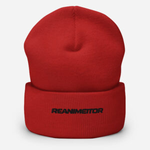 Gorro Invierno Reanimeitor - Bordado Negro